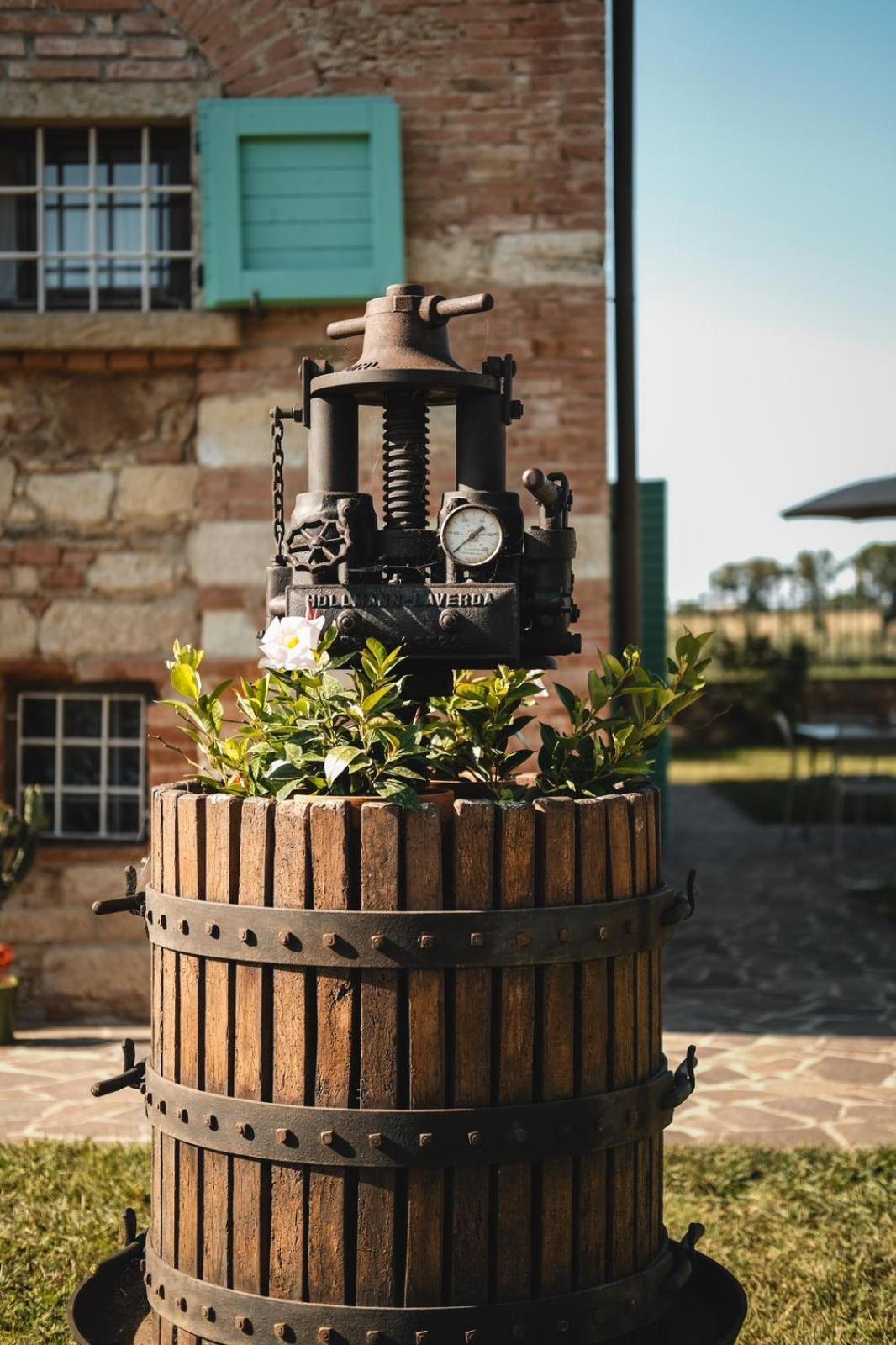 Podere Gli Olmi Cecina  Extérieur photo